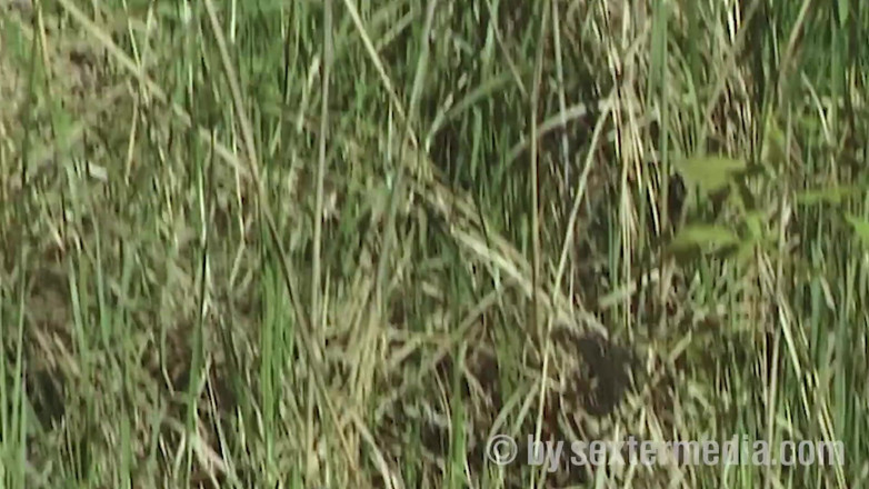 Sextermedia by Pete: Blondes Solo Girl Will Outdoor Sex