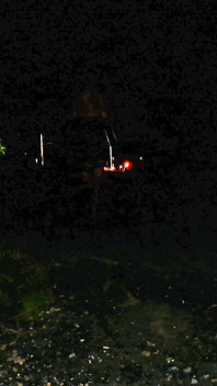 20240727_005357mp4