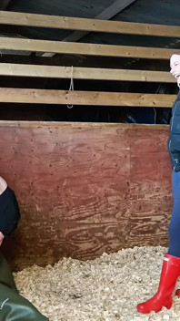 Bottes contre couilles, chasseurs de wellingtons extrêmement durs ballbusting dans les écuries