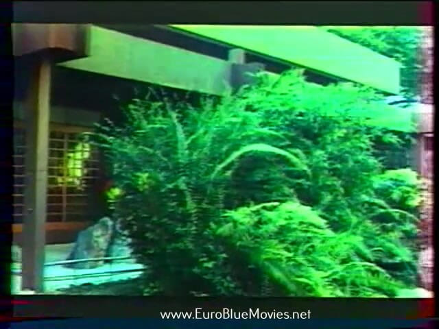 Euro Blue Movies: Jouissances Garanties (1978)