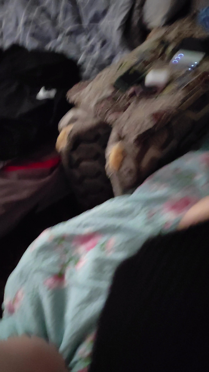 Ethan Alpha: 핫한 펠라