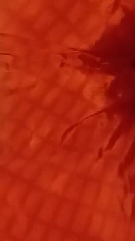 Tamil House Wife in Ex Boyfriend Secret Sex Hot Voice Big Natural Tits Nice Pussy Eating Big Ass Big Boobs Lovely Fucking