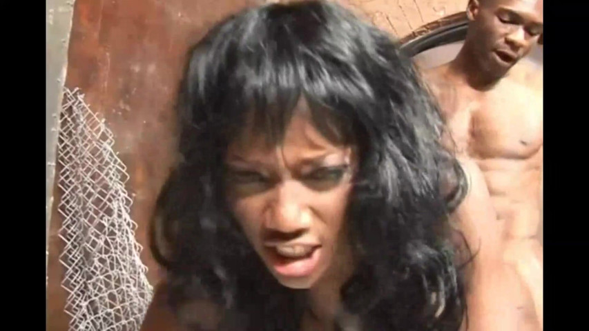 How to Fuck the Black Princess (Cinema X) How to Fuck the Black Princess (Cinema X)