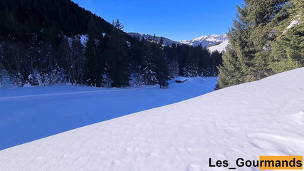 Les Gourmands: All My Pee Vol ii'nin hd derlemesi