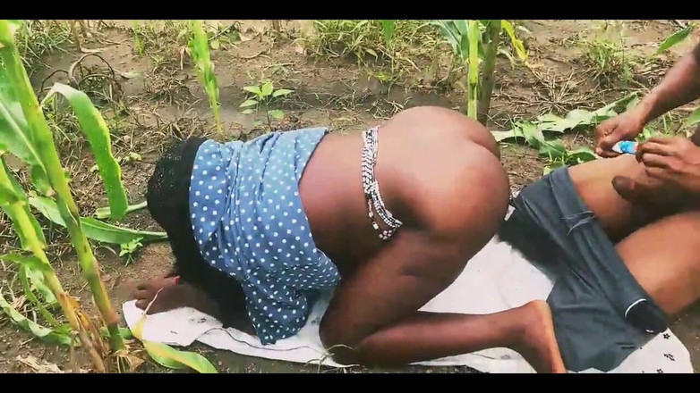 Showkee: auf dem bauernhof