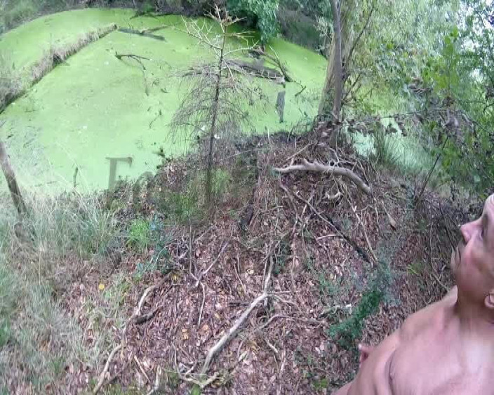 Andy: 새로운 나무 탐험