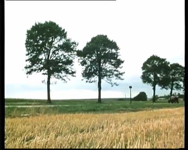 GERMAN PORN CLASSICS: Inocência de Lande Country Inocência, Vídeo de Herzog