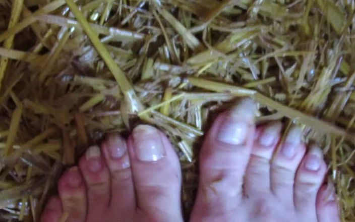 Barefoot Stables: Писяю сіссі