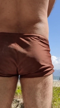 Furry Enjoying the Beach