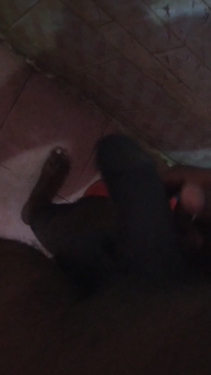 Tamil 10 inches BBC: Tamil10inches bbc sessione calda