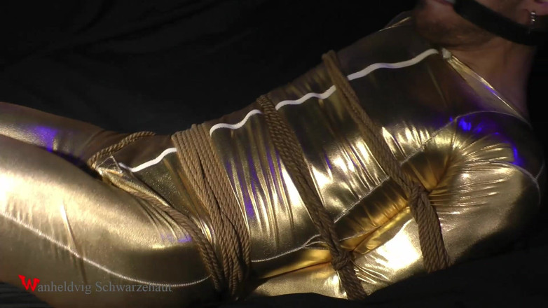 Wanheldvig: Zeus Goldy Bondage Challenge