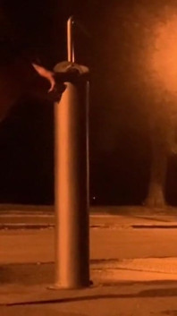 Ich selbst in einem park mit einem weißen dildo ficken