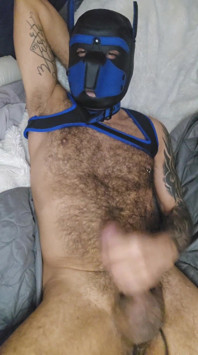 Pup Talking Dirty to You