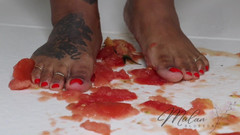 Mulan Blossom: Tomato Smash