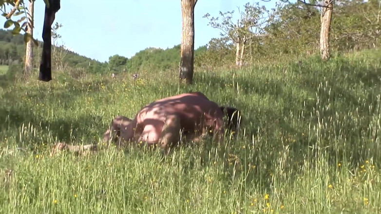 King Of Amateur: Überlappung echter Outdoor, Feld oder Strand?