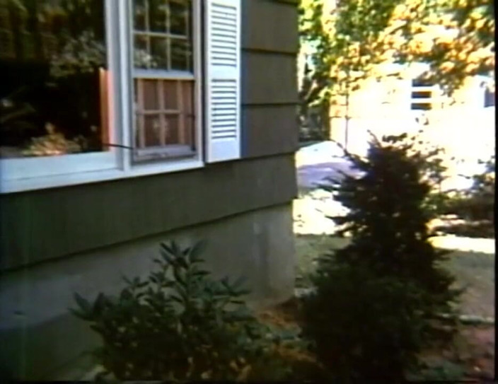 Vintage Usa: Legenda porno - USA 1969, awalnya - adegan 18