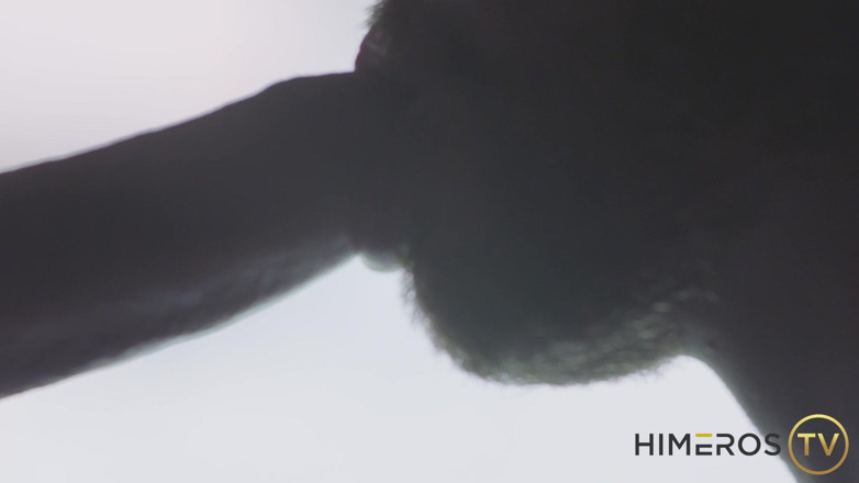 Himeros.tv: All, Rise