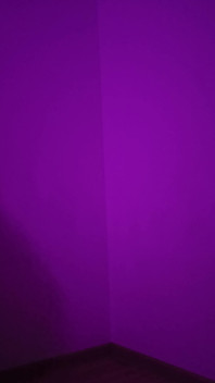 Purple Anal Fantasy 1