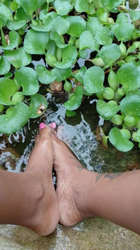 Chilling by the Water Lillies