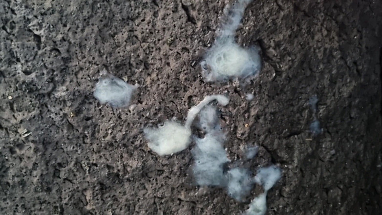 Alexander Audran: Amatur di Tempat Awam | Pancutan mani awam dengan zakar besar