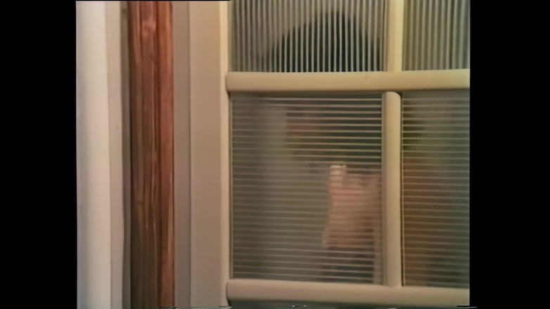 Vintage Megastore Full hd: Follada salvaje para una chica degustando la polla dura de...