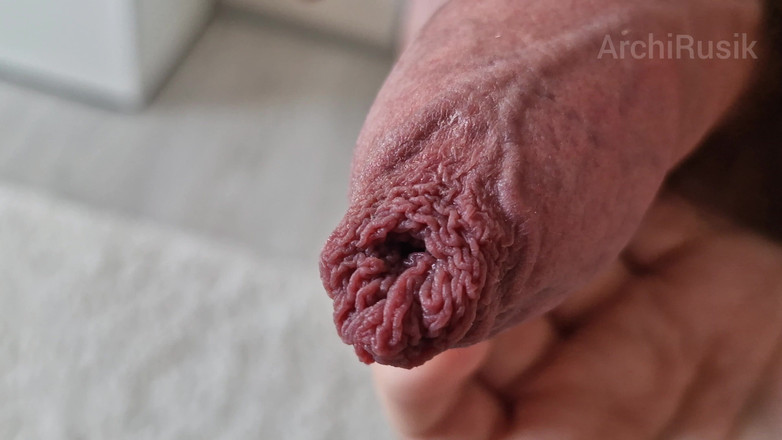 ArchiRusik: Je to nádhera! Dvě předkožky v výstřiku, Silní ptáci s...