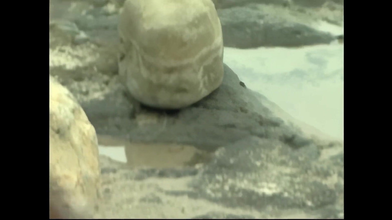 American Stallion: Наомі Вулф насолоджується морем для сексу