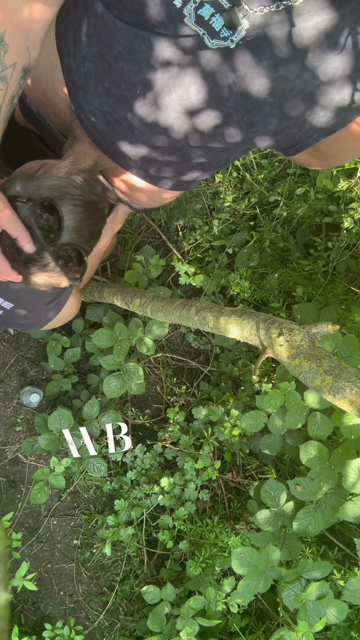 welsh_blokexxx: Cruisng Area BJ in the Woods