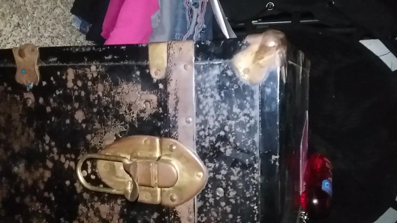 Harley Paradise: पत्नी पति के सामने लंड की सवारी करती है