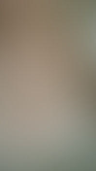 The Incredible Neckline of a Wife in Medieval Dress