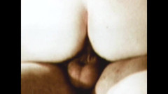 The Unforgettable: 음탕한 돼지