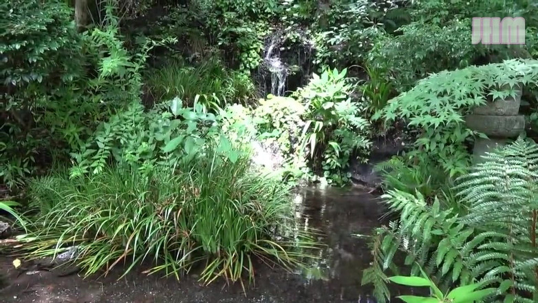 Japanese Hentai Matings: Proibida primavera quente - Shiori, 25 anos, uma mulher casada - 1