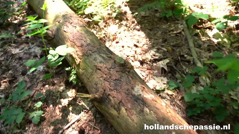 Hollandsche Passie: The Unexpected, Horny Appointment - Hollandschepassie