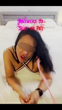 Found: Pet Cheerleader