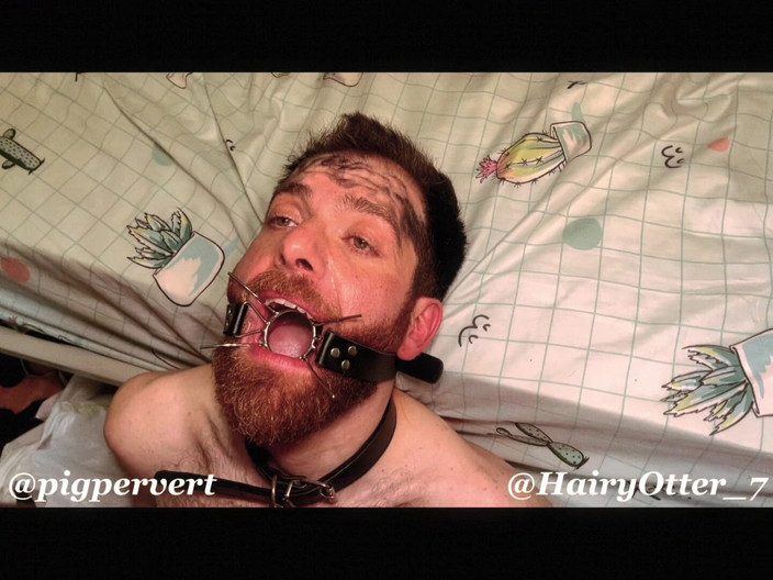 Hairy Otter: Експлуатовані та принижені — Свиня Перверт і Левантська Видра — Частина 2