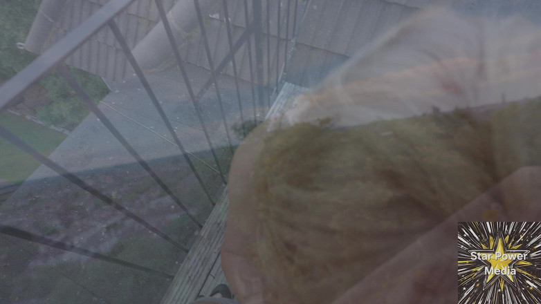 Star Power Media: Betrügende Ehefrau Andi James Schleicht Sich Für Verbotenen Quickie-fick Mit...