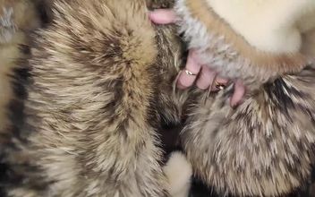 Fur Turns Me Into Anal Slut
