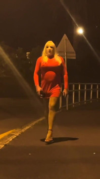 Dominatrix Mistress April, transformace v děvku