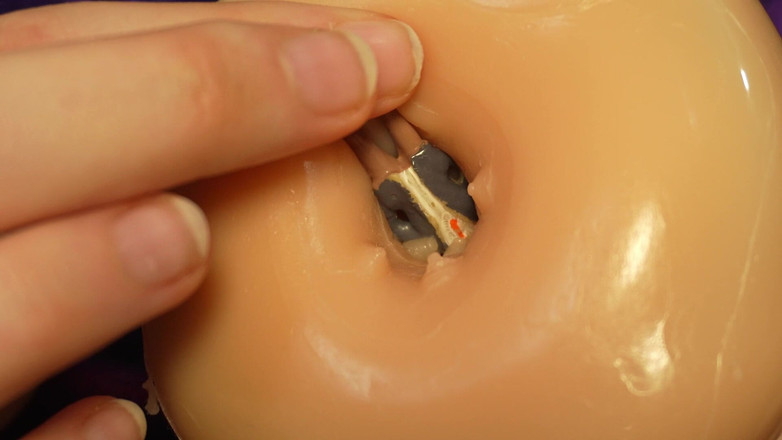 AmayaMori: 작은 의붓형제에게 굴욕을 당하는 거대한 이복 여동생