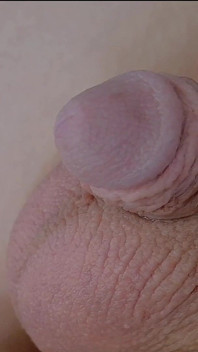 How Old Is That Cock Lol?!