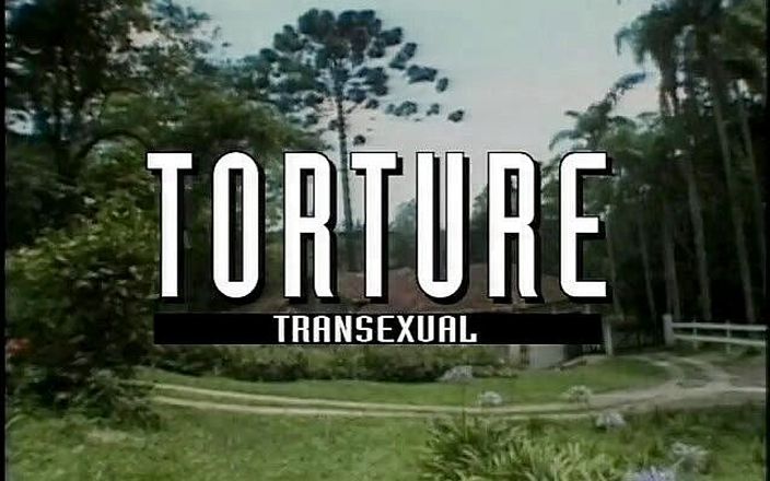 Shemale World: Straff Transexual (Full porrfilm)