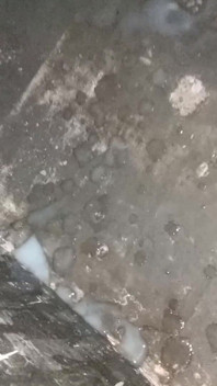 Indian Boy Black Dick Masturbate and Cum