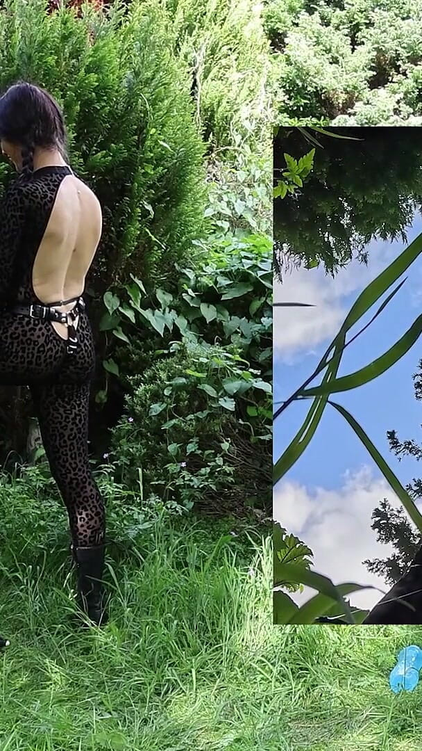 Wild Pegging (Training Zero)