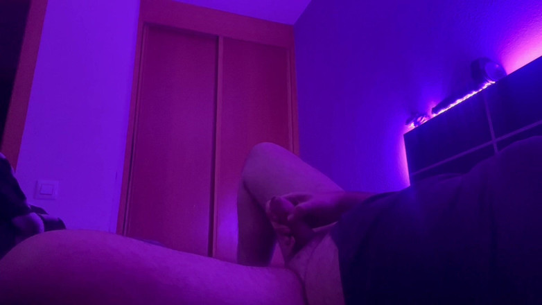 The newhere: Medvěd v posteli vyvrcholí