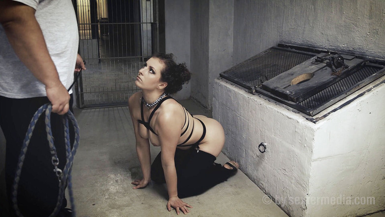 Fetisch by Sextermedia: Evcil hayvan - domaltma gösterisi