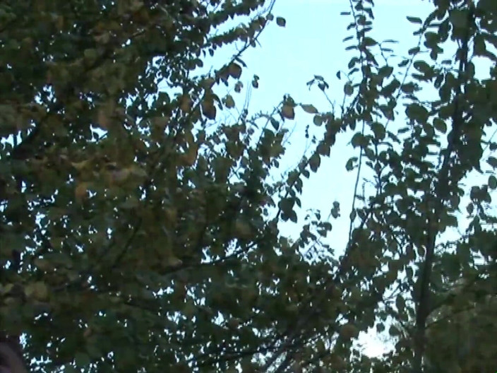 The Unforgettable: Tutte le troie arrapate ti fanno venire!