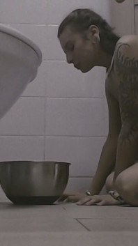The Pavlovian Bowl. De-humanized Feeding