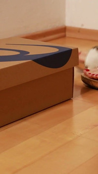 ASMR, des sabots en bois piétinent et écrasent la boîte à chaussures