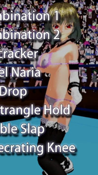 Ultimate Fighting Girl Typ All Skill (fanclub)