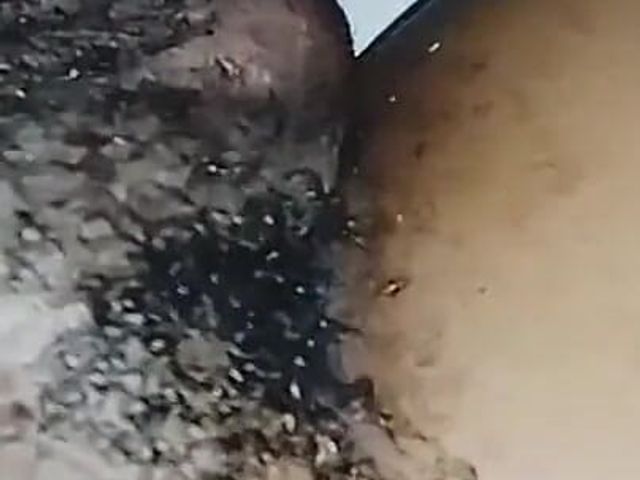 She Shaves My BBC Then Fuck It Part4(balls Shaving) (Me and my new slut)